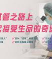 試管嬰兒網絡-孕媽妊娠期飲食怎麼吃好？孕期飲食要注意什麼？