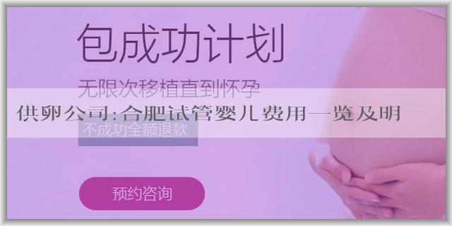 供卵公司:合肥试管婴儿费用一览及明细